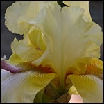 DSCN0070.JPG